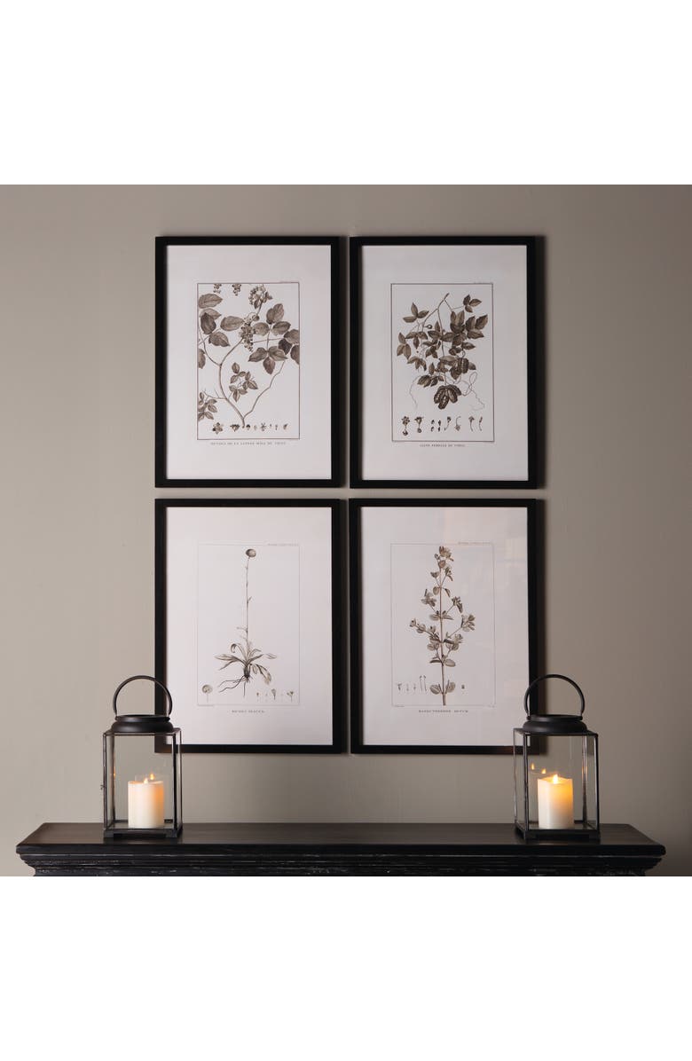 Napa Home & Garden Framed Sepia-Tone Botanical Prints Set of 4, Alternate, color, Black