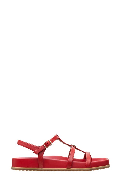 Shop Linea Paolo Lilith Ankle Strap Sandal In True Red