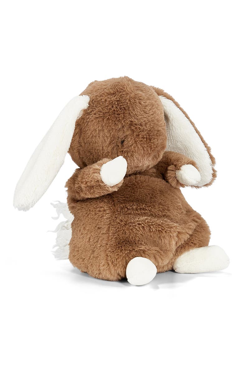 Baby Harriet's Board Book & Plush Bunny Gift Set, Alternate, color, BROWN