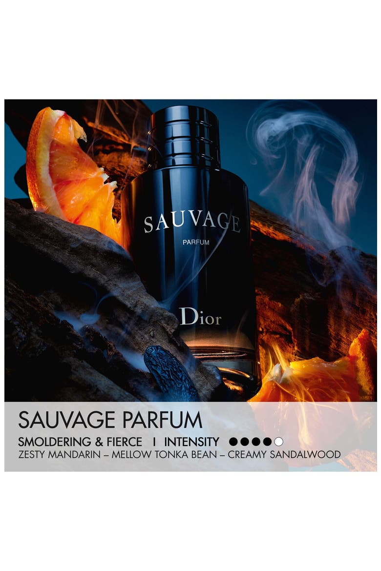 Sauvage Parfum & Travel Spray Gift Set, Alternate, color, NO COLOR