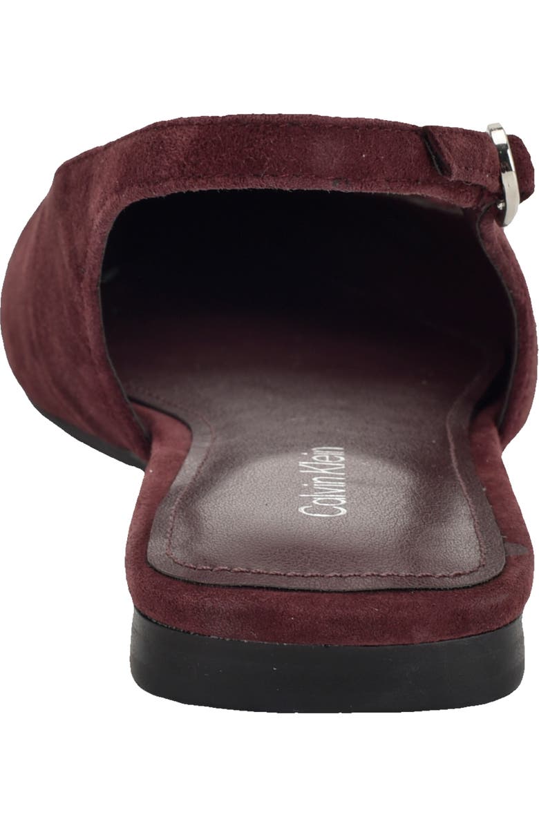 Calvin Klein Galiana Slingback Pointed Toe Flat, Alternate, color, Dark Red