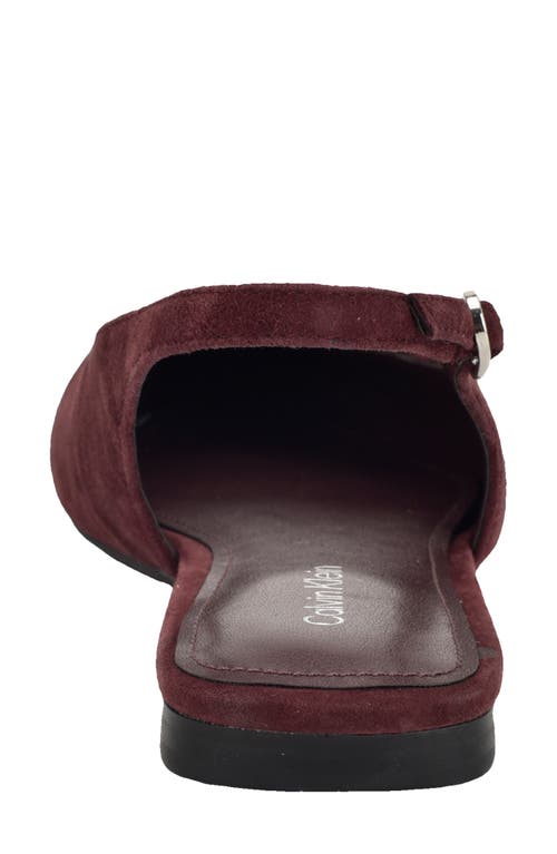 Calvin Klein Galiana Slingback Pointed Toe Flat