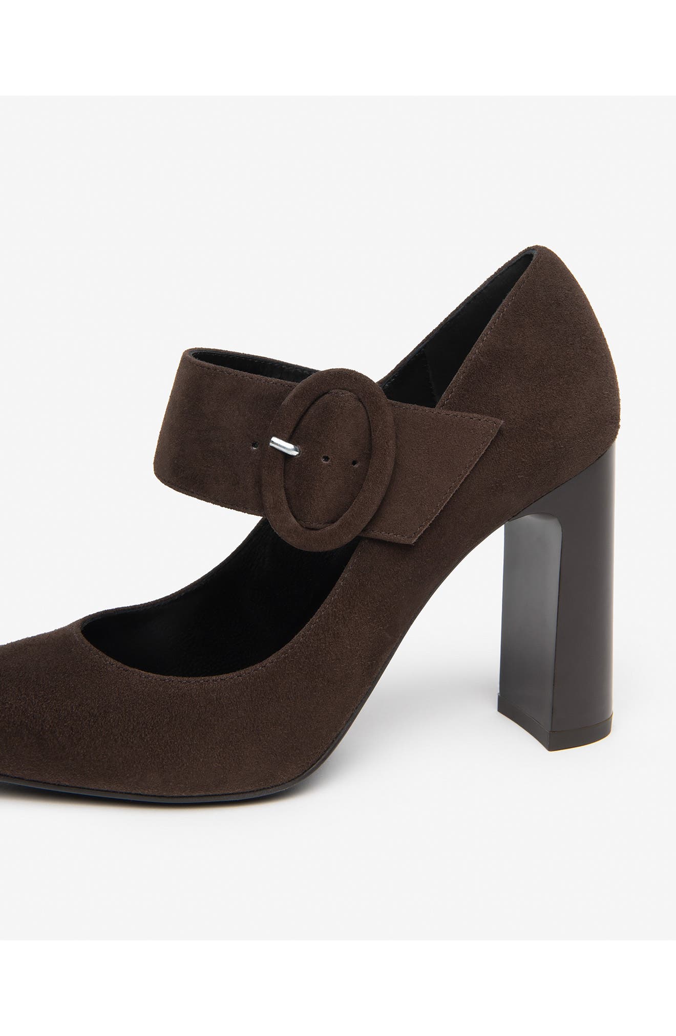 Leather Pointed Toe Mary Jane Pump, Alternate, color, CHOCOLATE