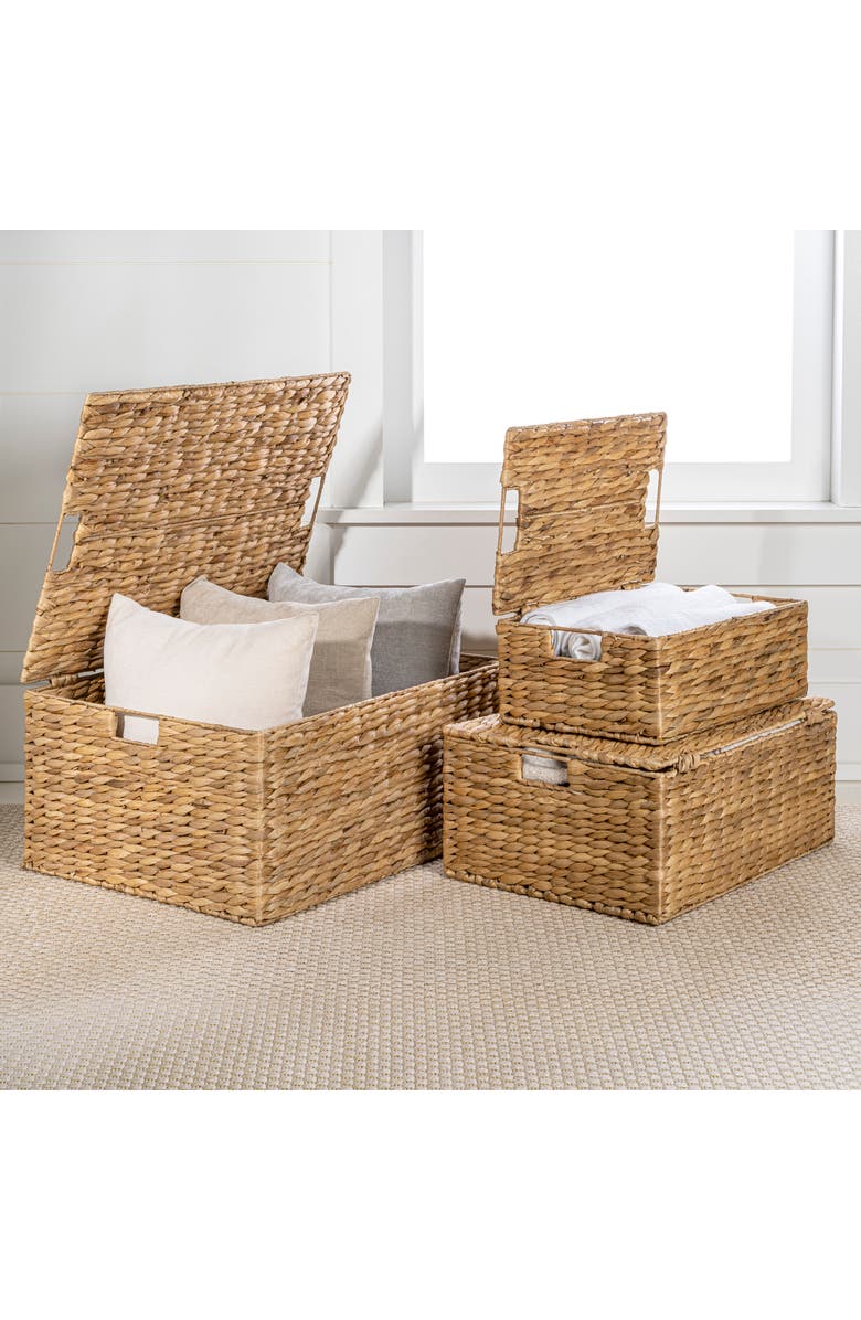 HAPPIMESS Brooks Classic Farmhouse Woven Hyacinth Rectangular Storage Baskets with Lids and Handles,, Main, color, Natural