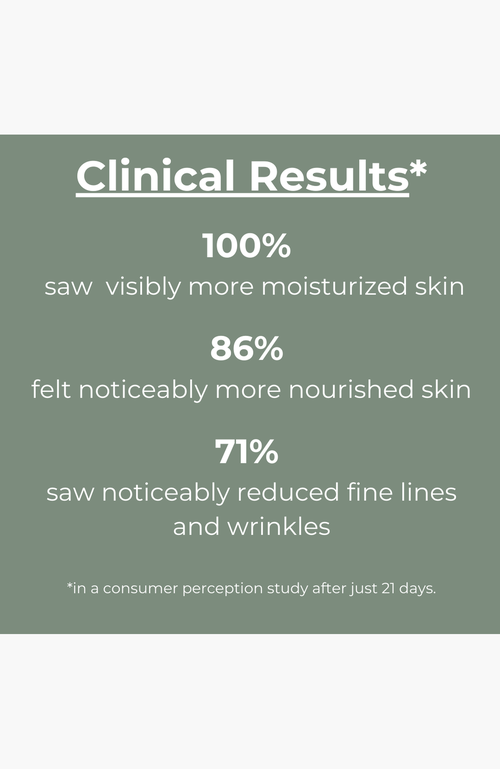 Botanicary No. 4 Rewind Ageless Cica Sculpting Crème In Brown