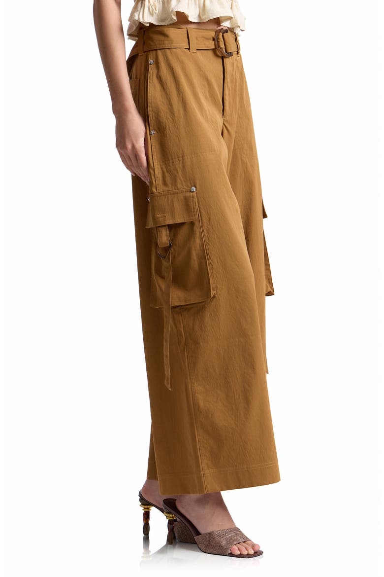 Belted Wide Leg Cargo Pants, Alternate, color, SPICE
