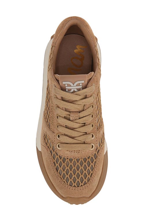 Sam Edelman Layla Sneaker In Hazelwood/cyprus Tan