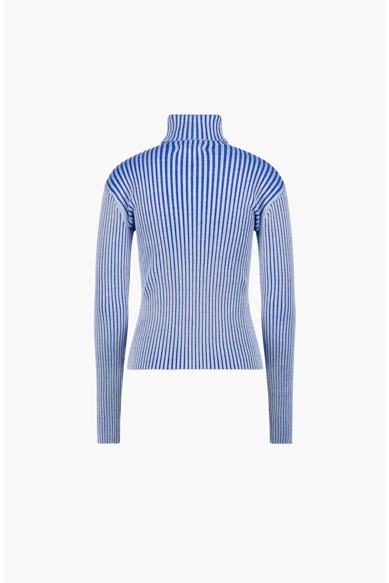 Eija Rib Knit Turtleneck, Alternate, color, Blue / Light Blue