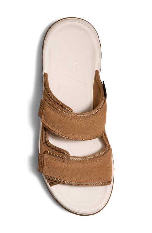 Ugg(r) Captrail Slide Sandal In Chestnut