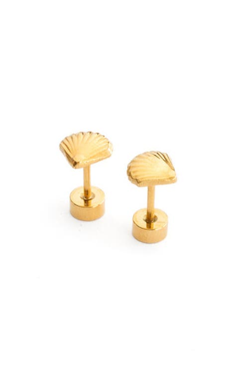 Seashell Stud Earrings