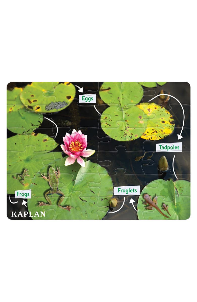 Kaplan Early Learning Company Frog Life Cycle Floor Puzzle from Egg to Frog - 24 Pieces, Alternate, color, Green