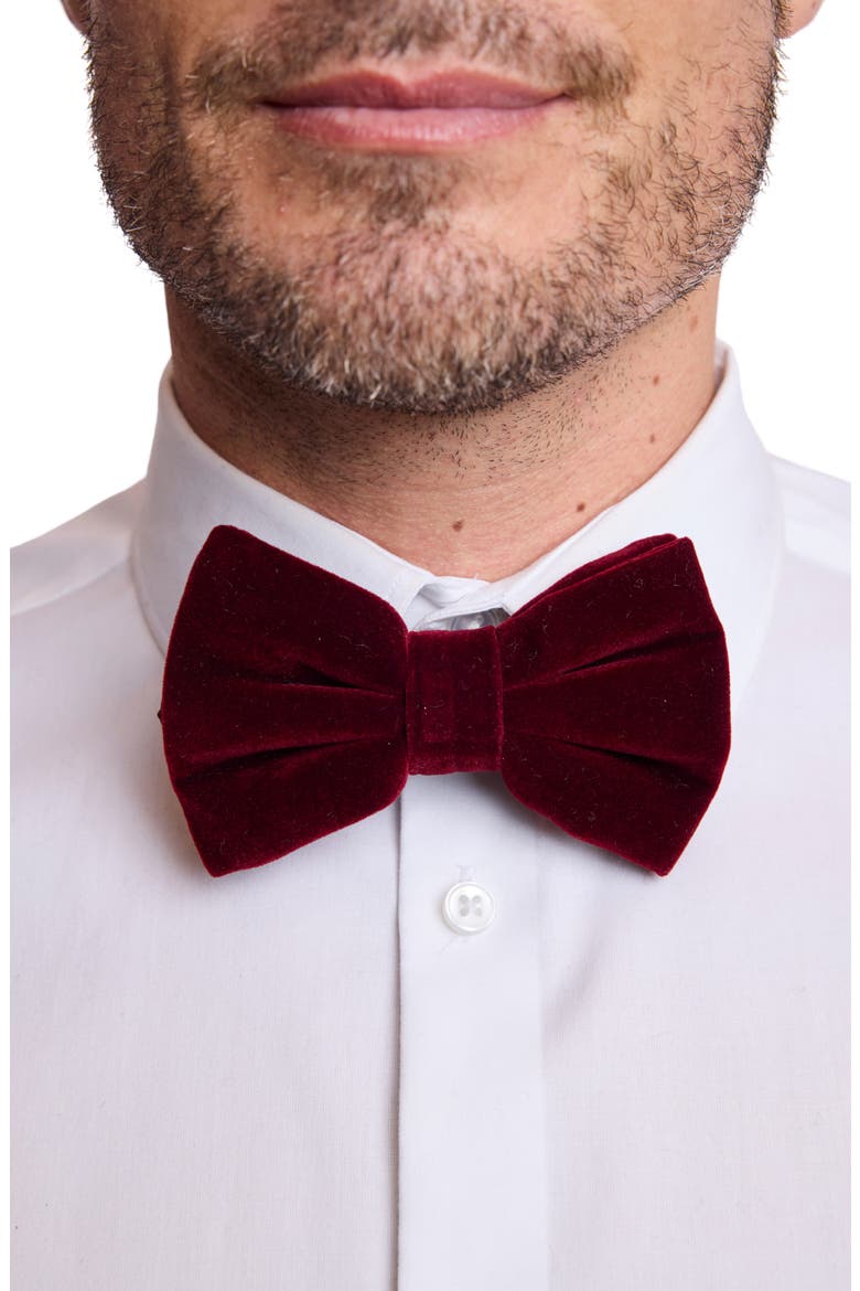 Bradley Velvet Bow Tie, Main, color, BURGUNDY VELVET