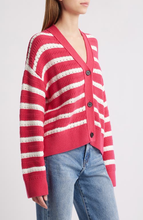 Rails Geneva Stripe Cotton Cardigan In Pink Stripe