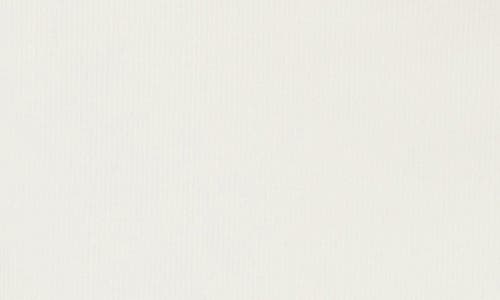 Renee C Cowl Neck Rib Knit Top In Ivory