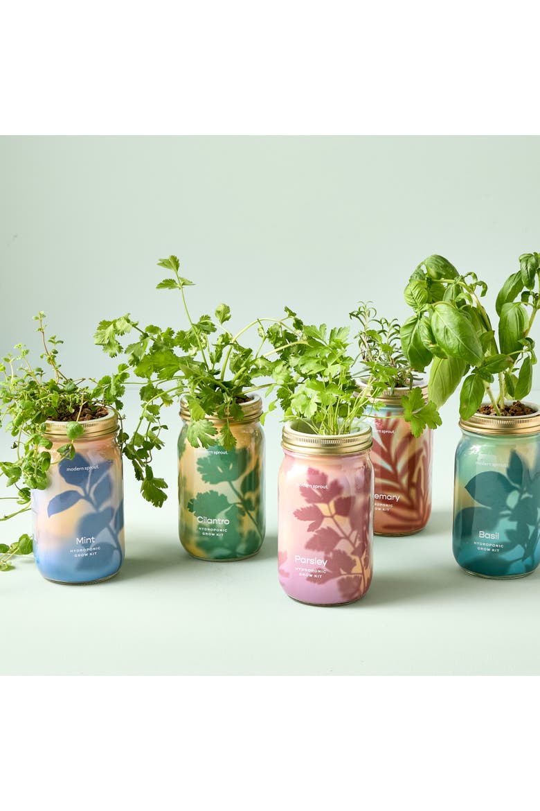 Garden Jar 5pk, Alternate, color, Assorted