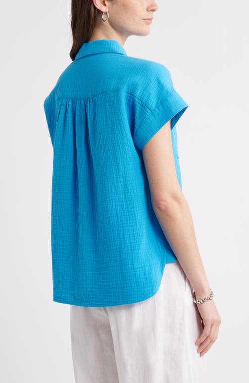 CASLONR CASLON(R) COTTON GAUZE BUTTON-UP SHIRT 