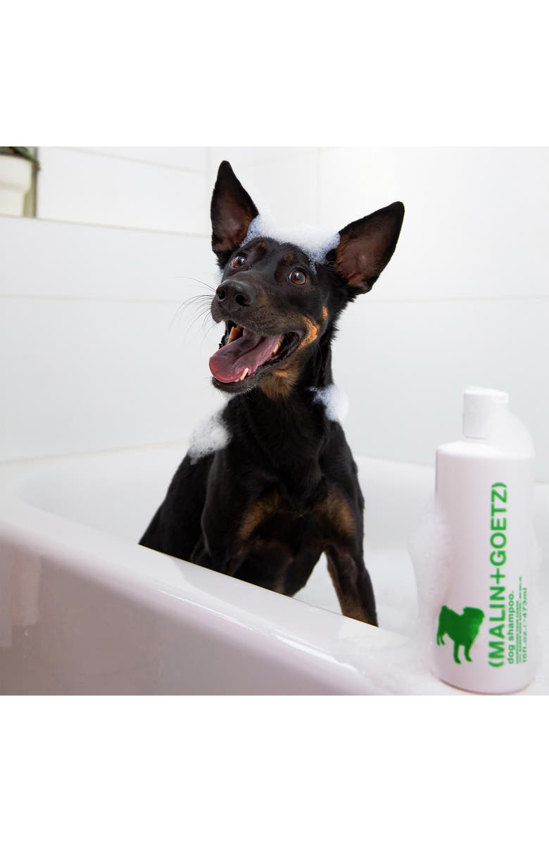 MALIN+GOETZ Dog Shampoo, Alternate, color, 