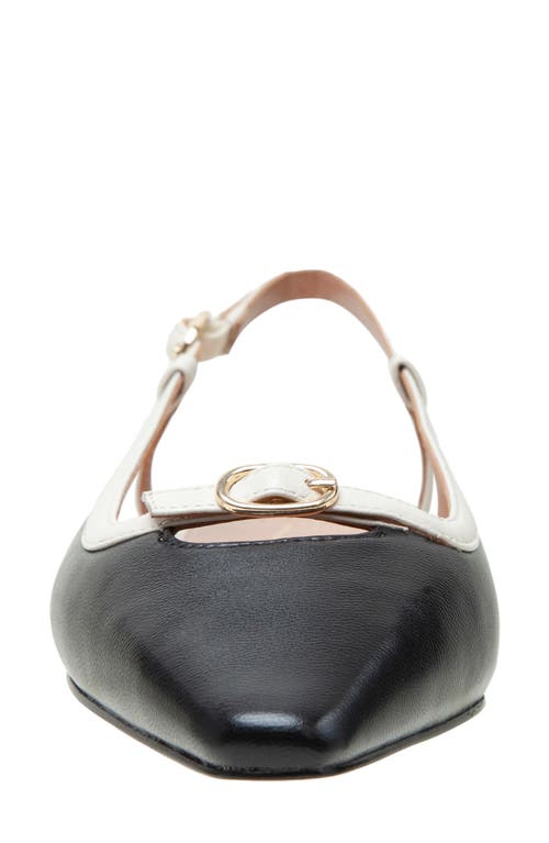 Linea Paolo Cassidy Pointed Toe Slingback Flat