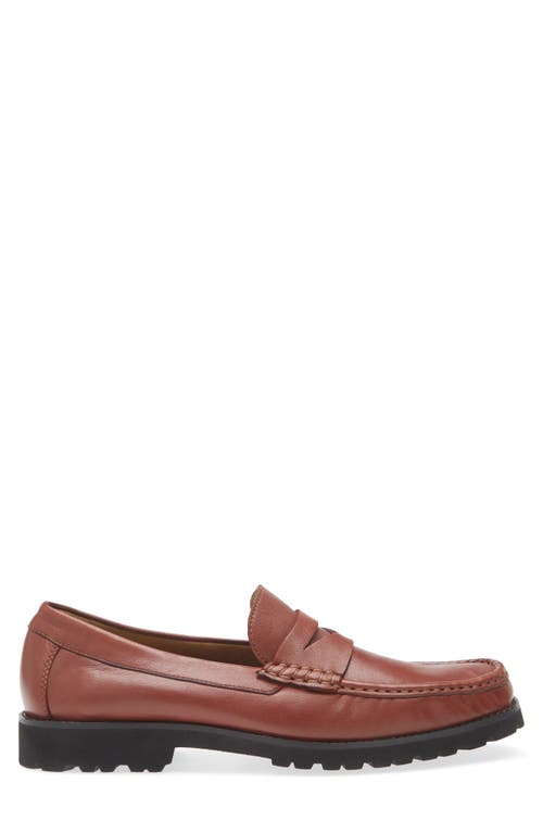 Robert Zur Dillon Penny Loafer In Luggage