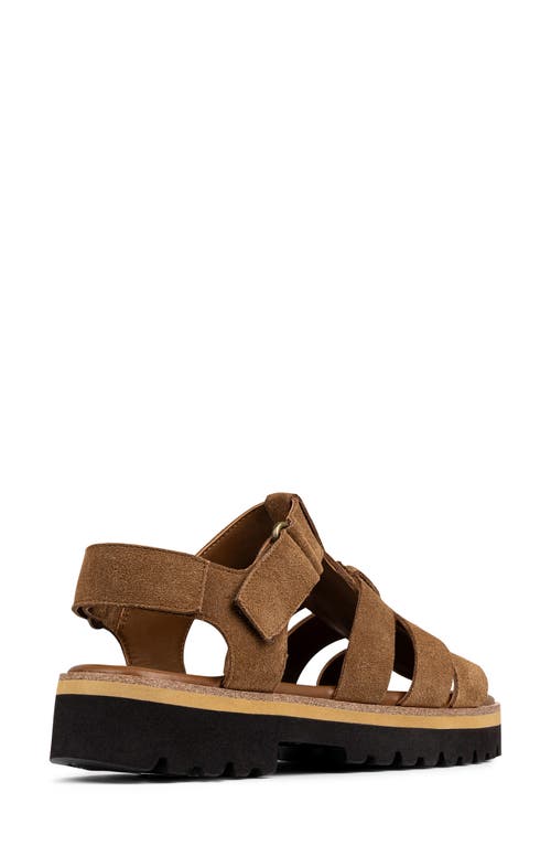 Donald Pliner Pryme Lug Sole Fisherman Sandal In Saddle