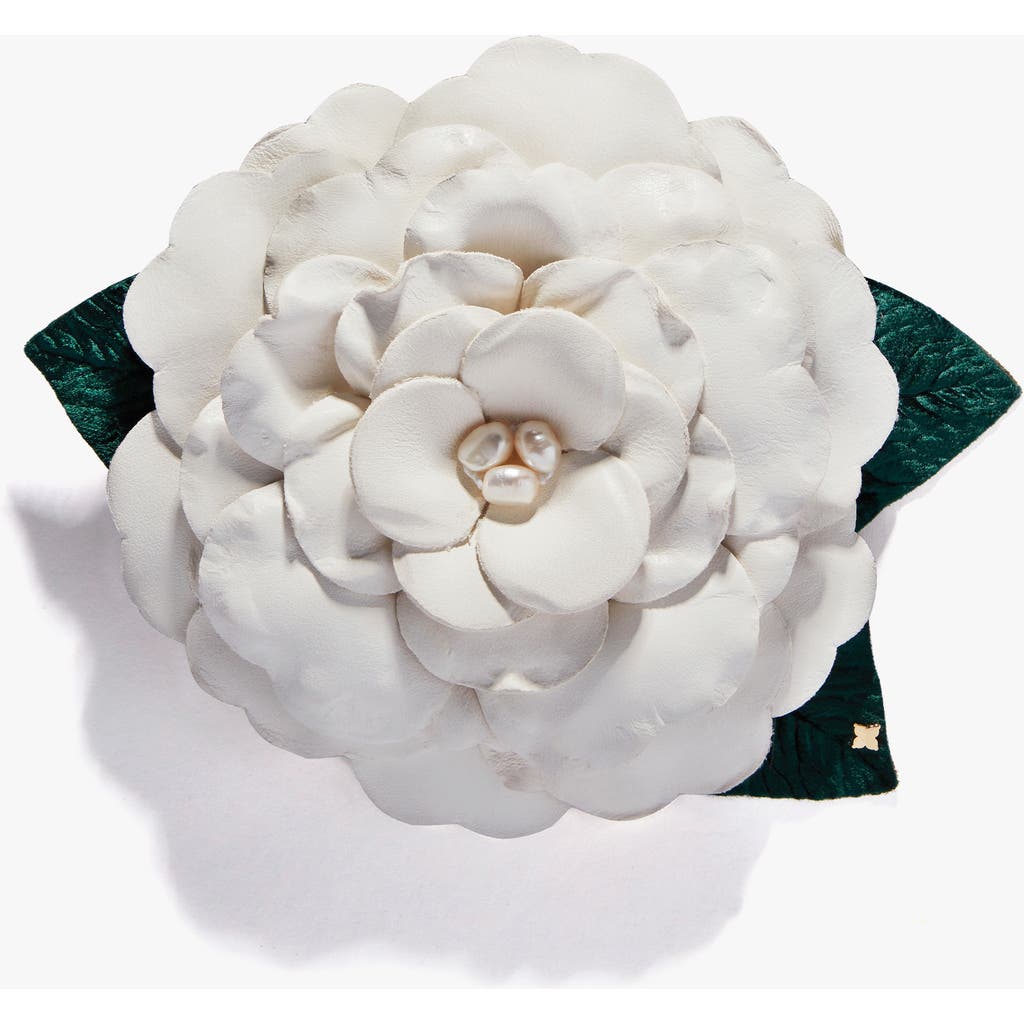 Helena Simon The Large White Gardenia In White