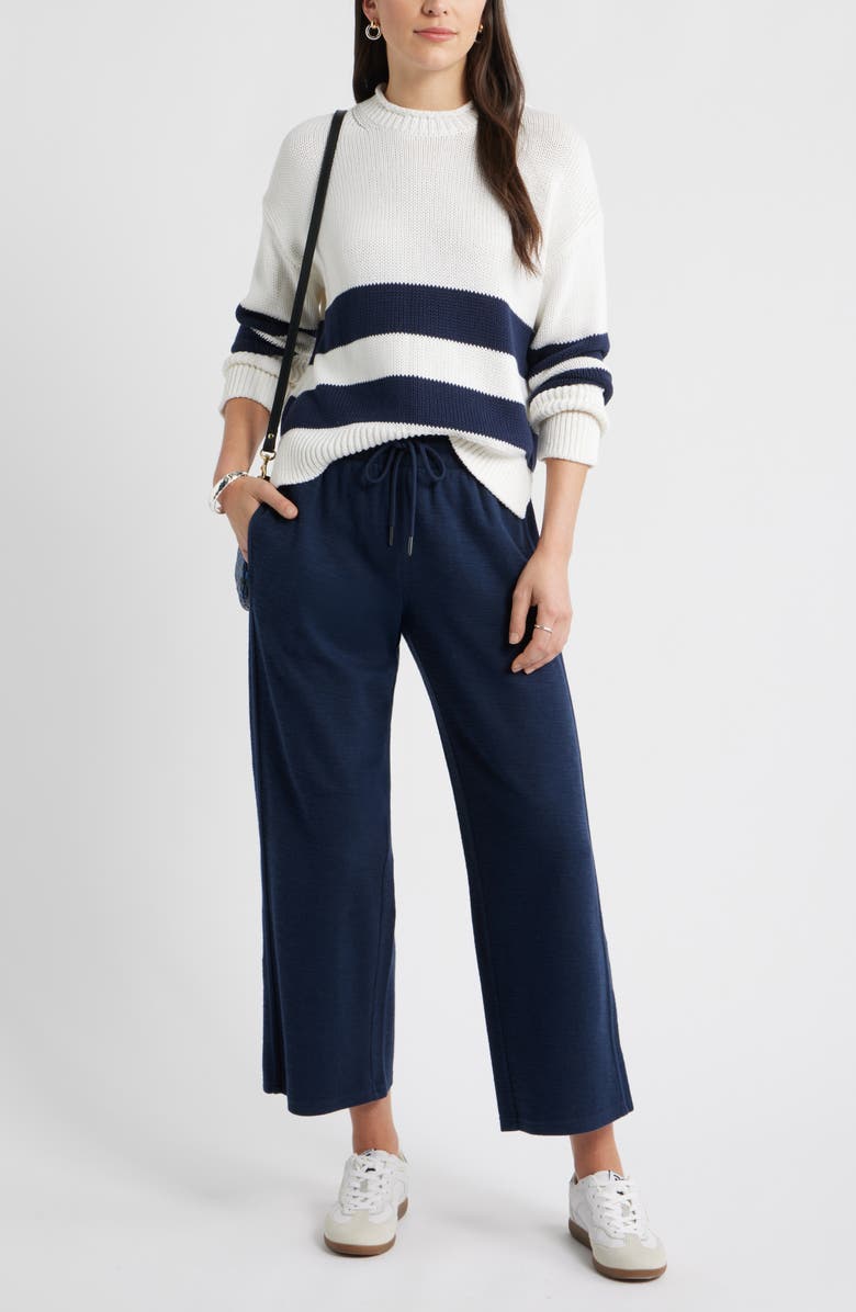 Caslon<sup>®</sup> Ankle Wide Leg Travel Pants, Alternate, color, Navy Still
