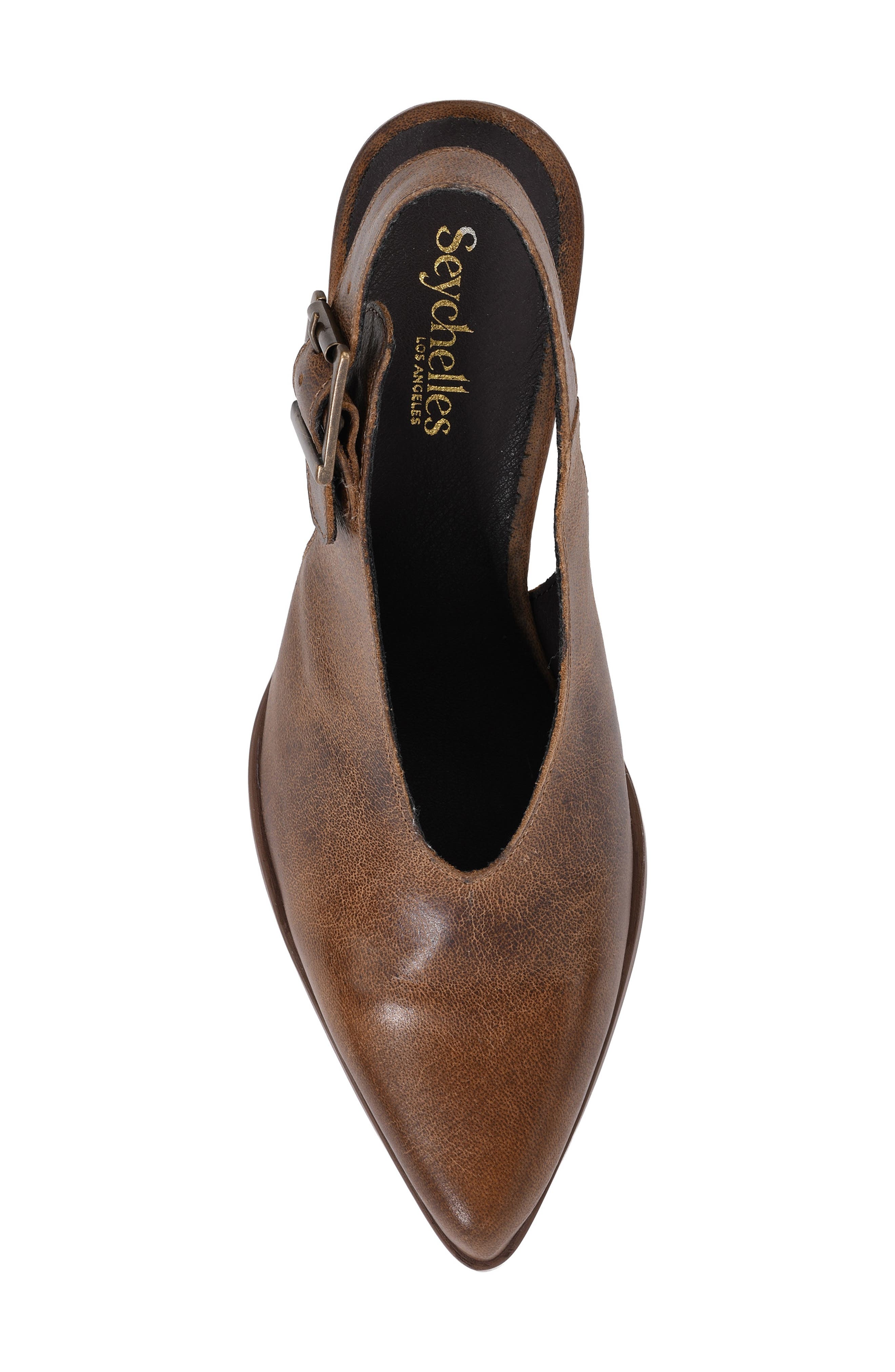 Baby Faced II Pointed Toe Slingback Pump, Alternate, color, BROWN
