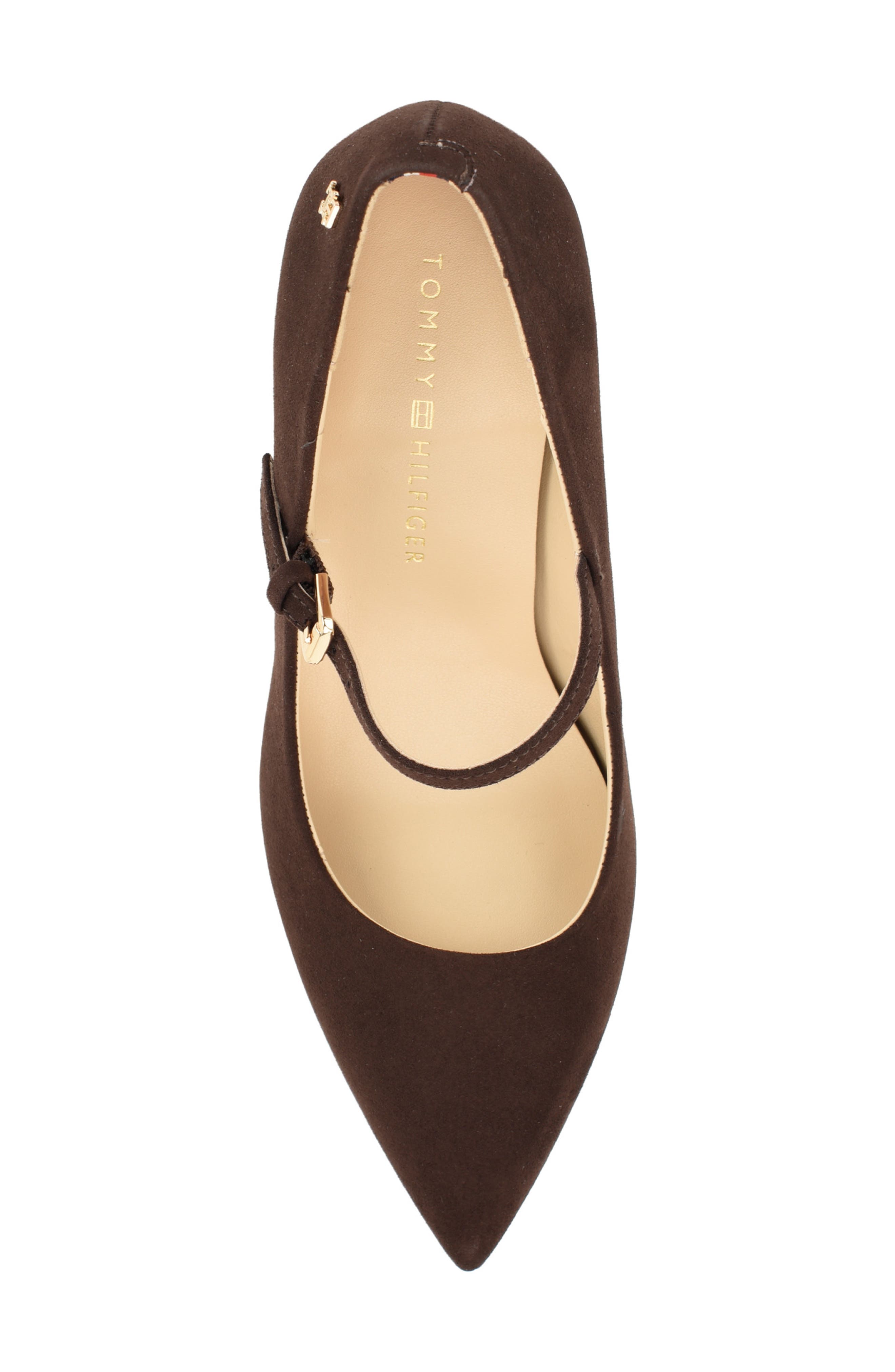 Aveniz Mary Jane Pump, Alternate, color, DARK BROWN