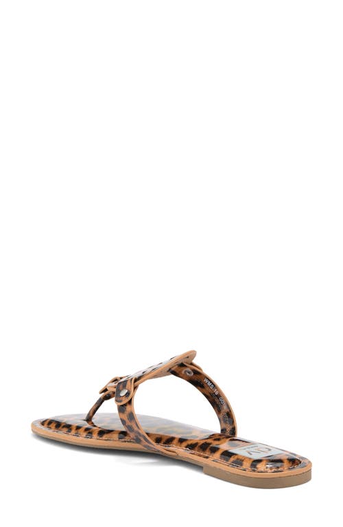 Dolce Vita Dv By  Gotie Laser Cut Studded Thong Sandal In Leopard Patent