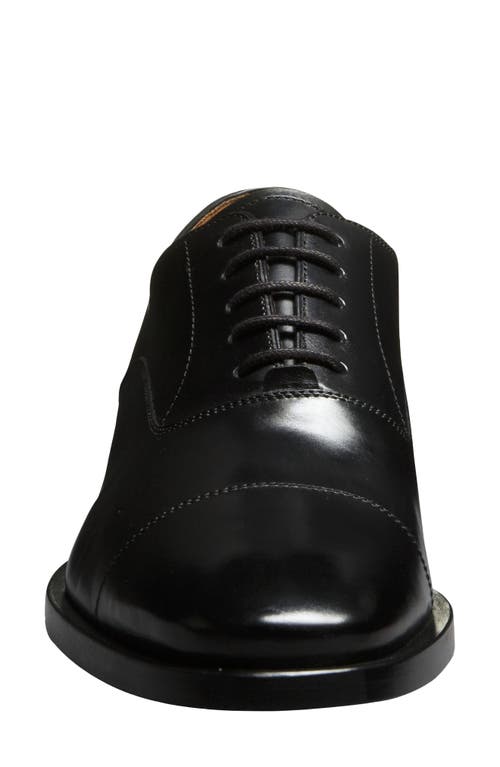 Allen Edmonds Siena Clean Cap Toe Oxford In Animal Print
