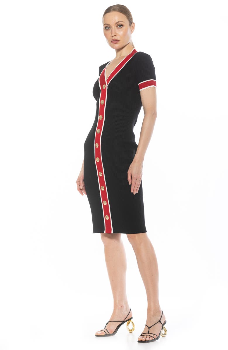 Alexia Admor Otto V-neck Short Sleeve Ribbed Sweater Dress, Alternate, color, Black