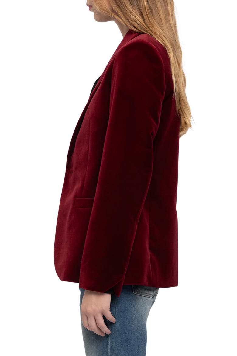 Vavy Velvet Blazer, Alternate, color, CHERRY