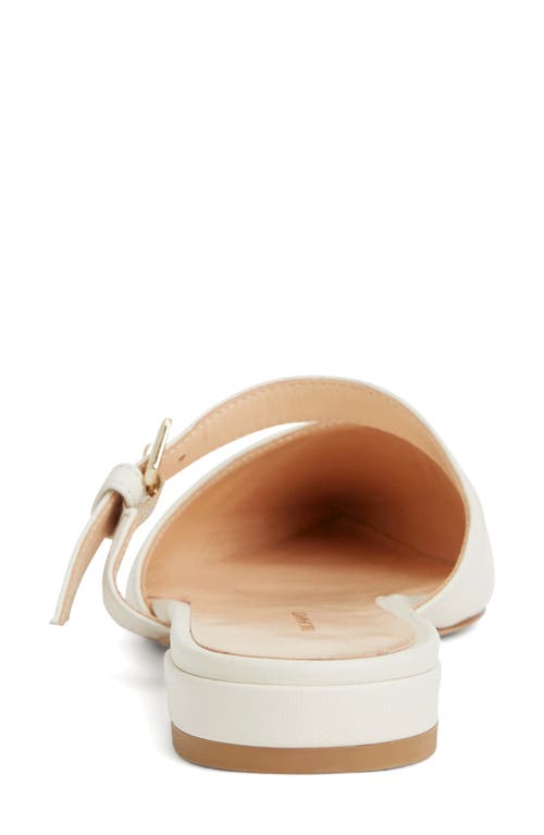 Bruno Magli Pasha Mule