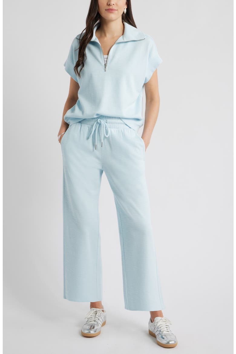Ankle Wide Leg Travel Pants, Alternate, color, BLUE DELICATE