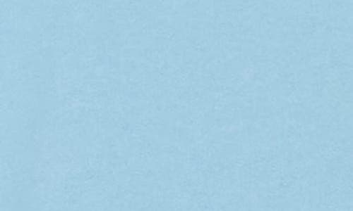 Hanes Ecosmart Fleece Hoodie In Blue