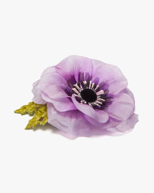 Helena Simon The Lavender Anemone In Purple