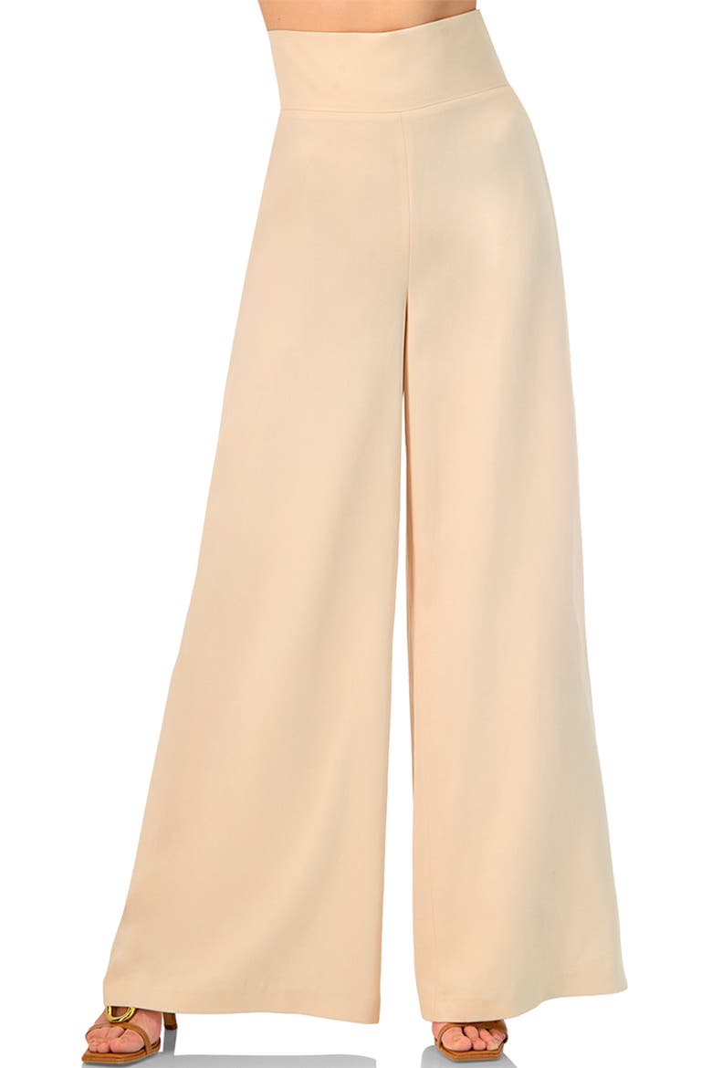 Wide-Leg Super Soft Pants with Broad Waistband, Main, color, Sand