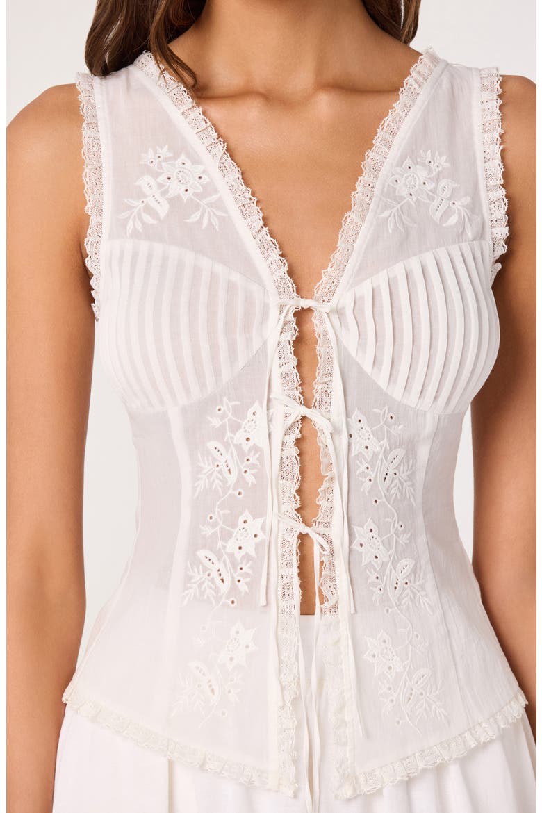Carine Lace Detail Embroidered Cotton Top, Alternate, color, WHITE