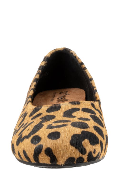 Softwalk ® Sonoma Genuine Calf Hair Flat In Animal Print