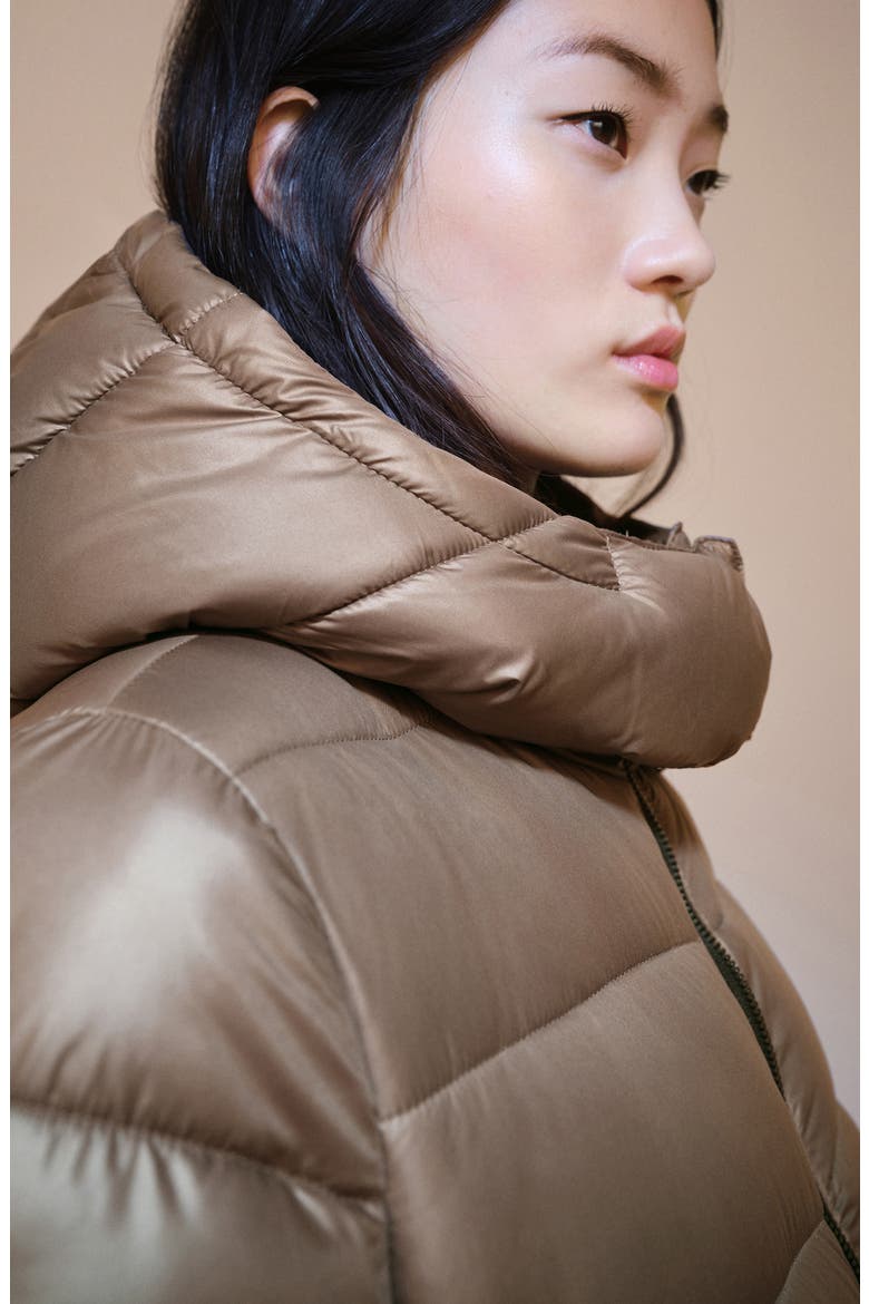 Water Repellent Hooded Quilted Coat, Alternate, color, MEDIUM BROWN