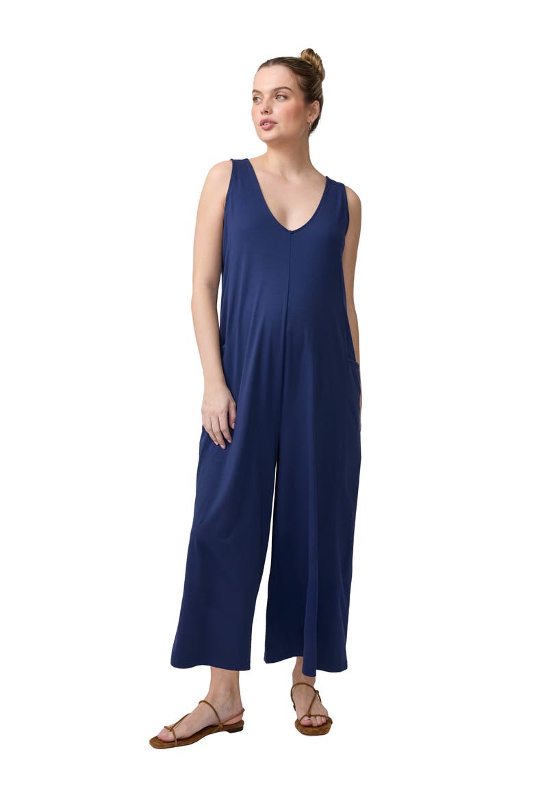 V-Neck Wide Leg Knit Jumpsuit, Main, color, Navy