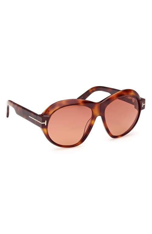 TOM FORD TOM FORD INGER 59MM ROUND SUNGLASSES