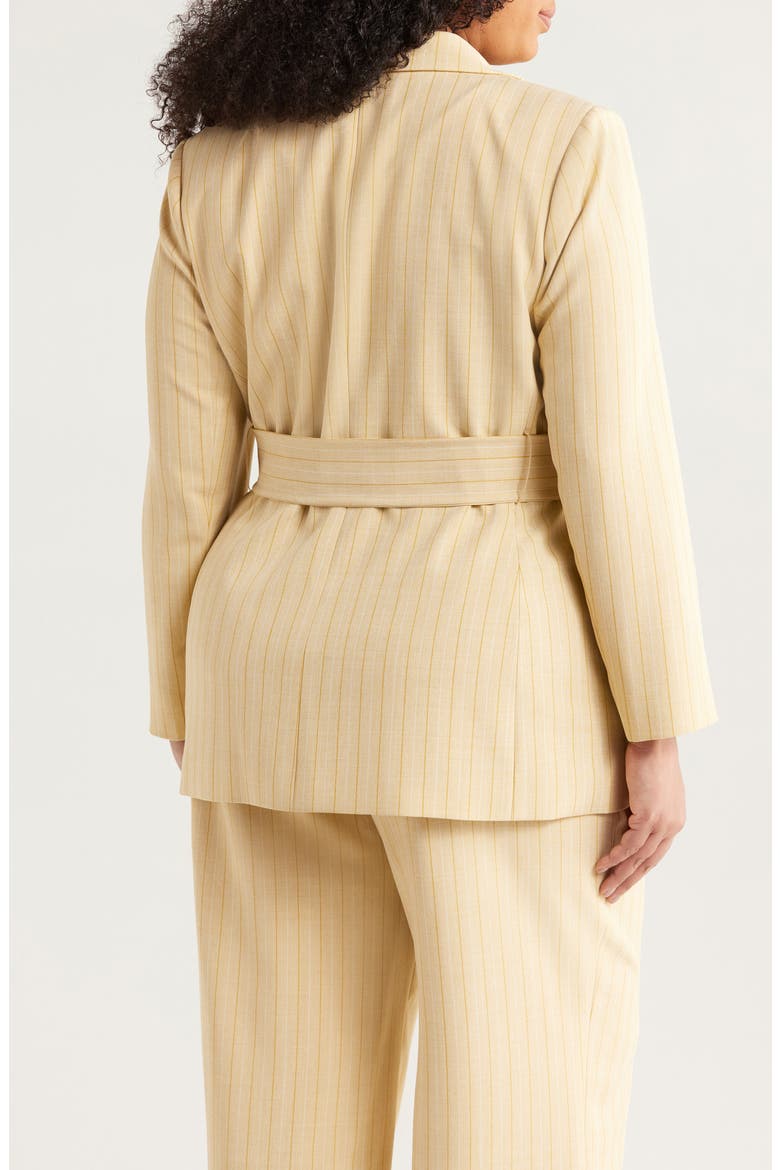 Pinstripe Belted Blazer, Alternate, color, OCHRE