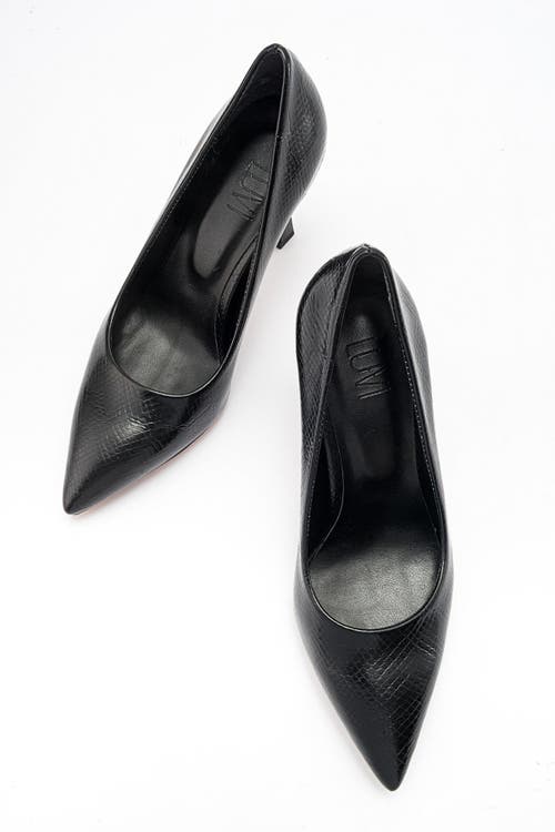 Prologue Shoes Forest Pointed Toe Pump