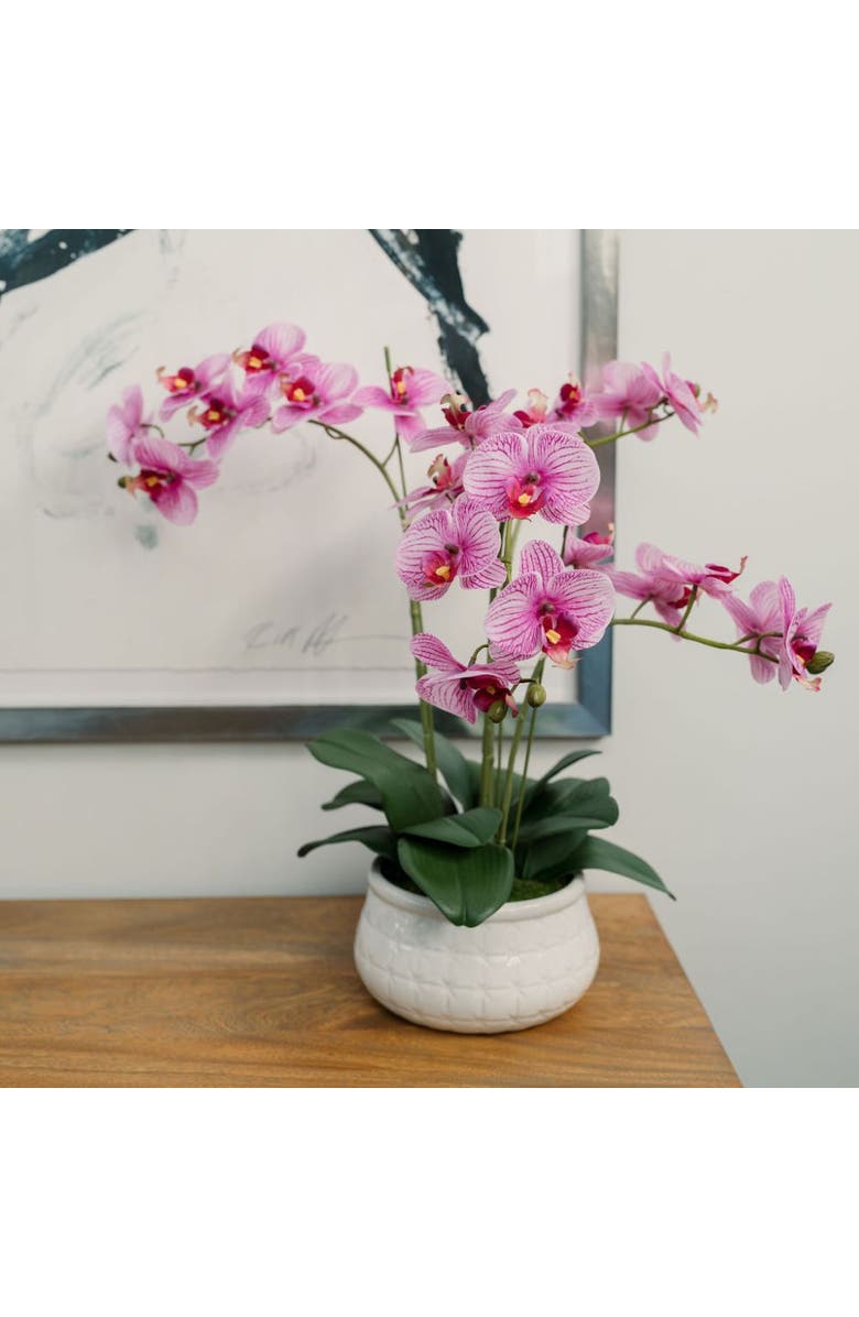 CG Hunter 23" Phale Orchid, Alternate, color, Purple