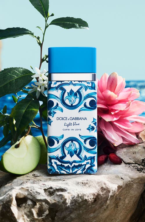 Dolce & Gabbana Dolce&gabbana Light Blue In No Color