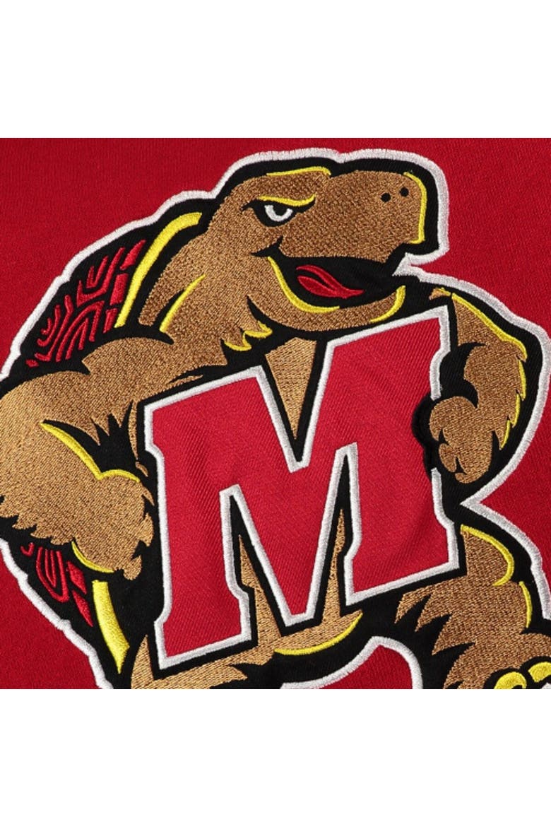 Youth Stadium Athletic Red Maryland Terrapins Big Logo Pullover Hoodie, Alternate, color, Red