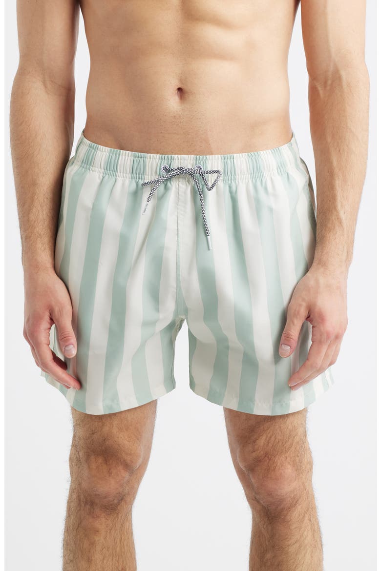 Stripe Swim Trunks, Main, color, GREEN/ CREAM