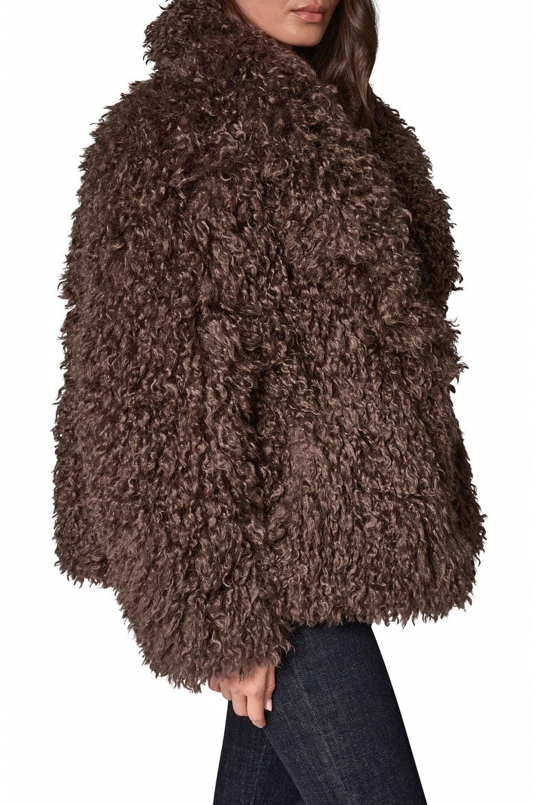 Faux Fur Shawl Collar Jacket, Alternate, color, ESPRESSO