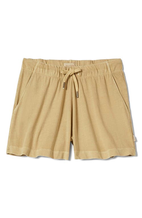 Brixton Carefree Organic Cotton Drawstring Lounge Shorts In Neutral